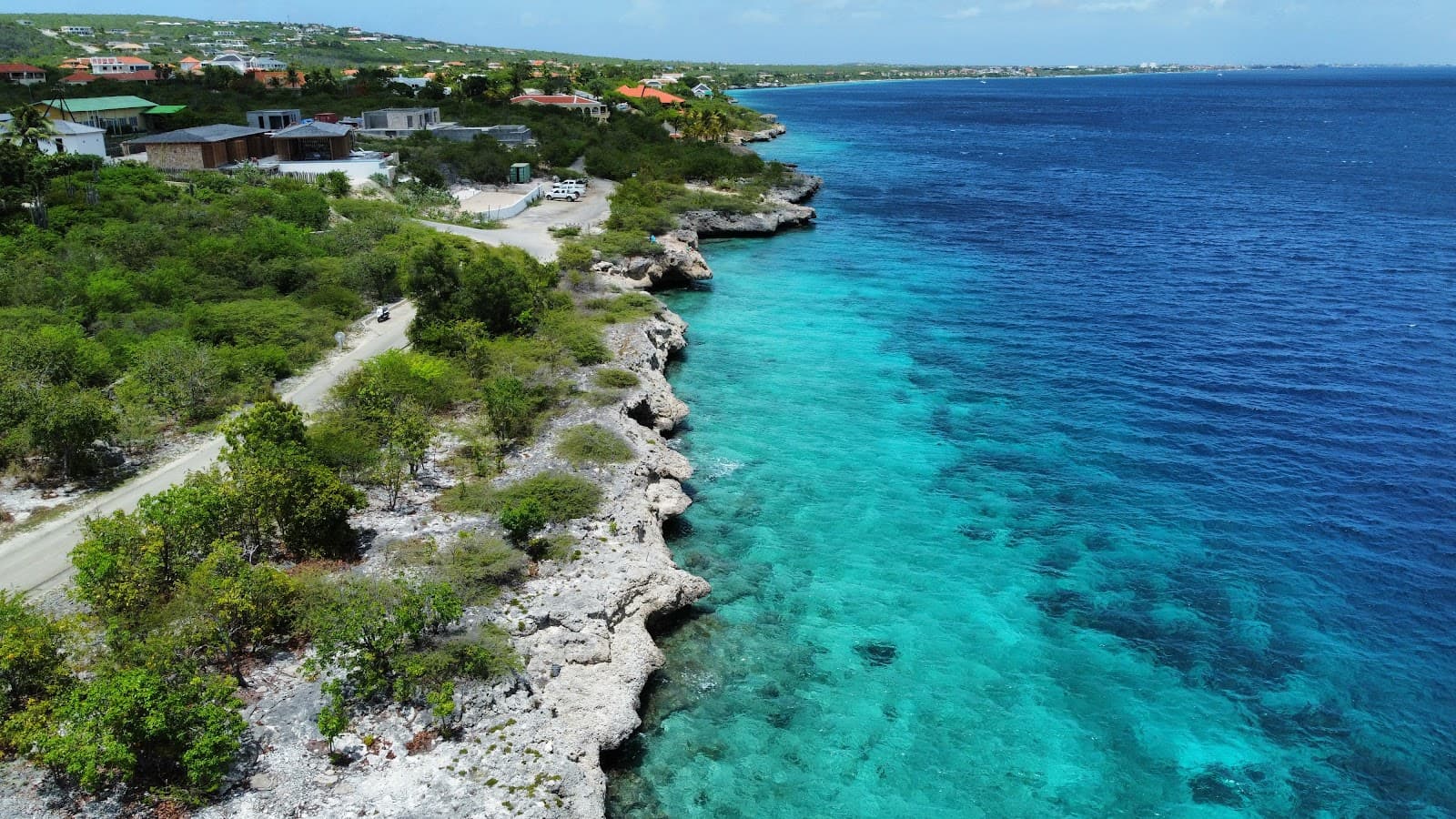 Oil Slick Leap - Image 1