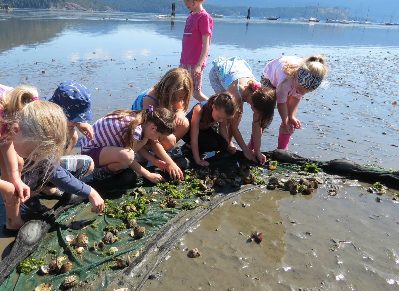 Cowichan Estuary Nature Centre - Image 1