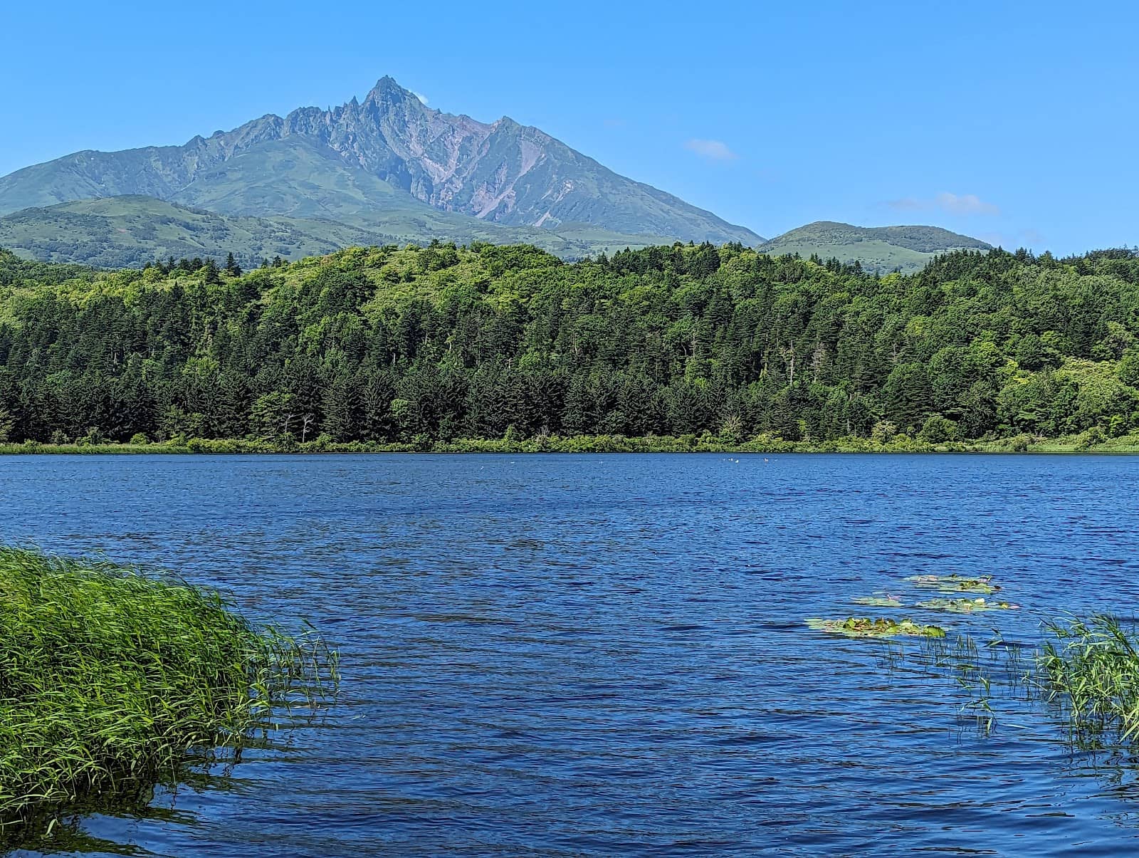 Local Seafood Delights