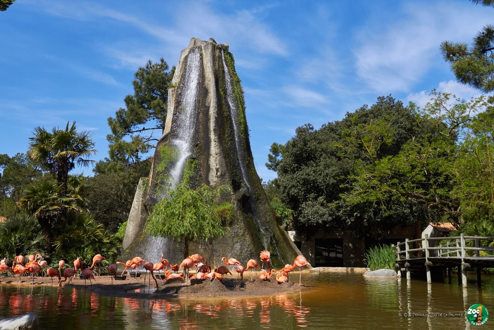Zoo de la Palmyre - Image 1