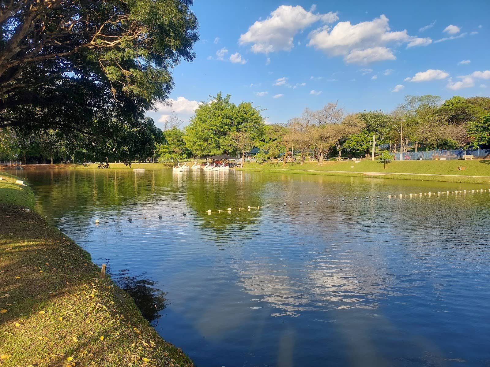 Jogging Track and Green Spaces