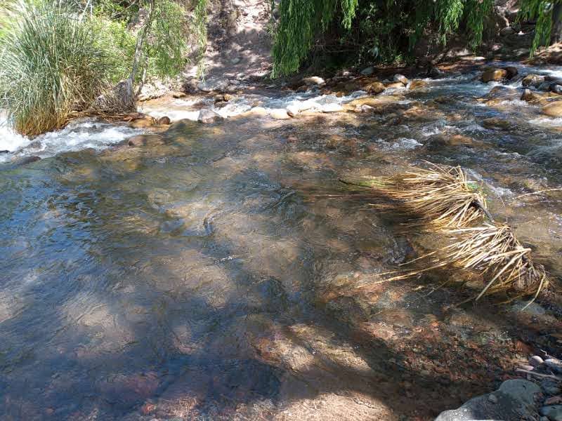 Community and Nature