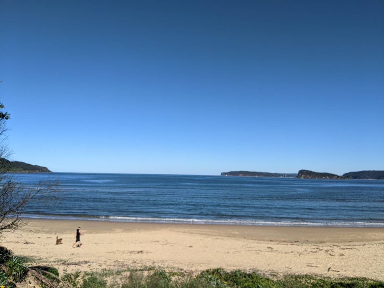 Umina Beach Markets