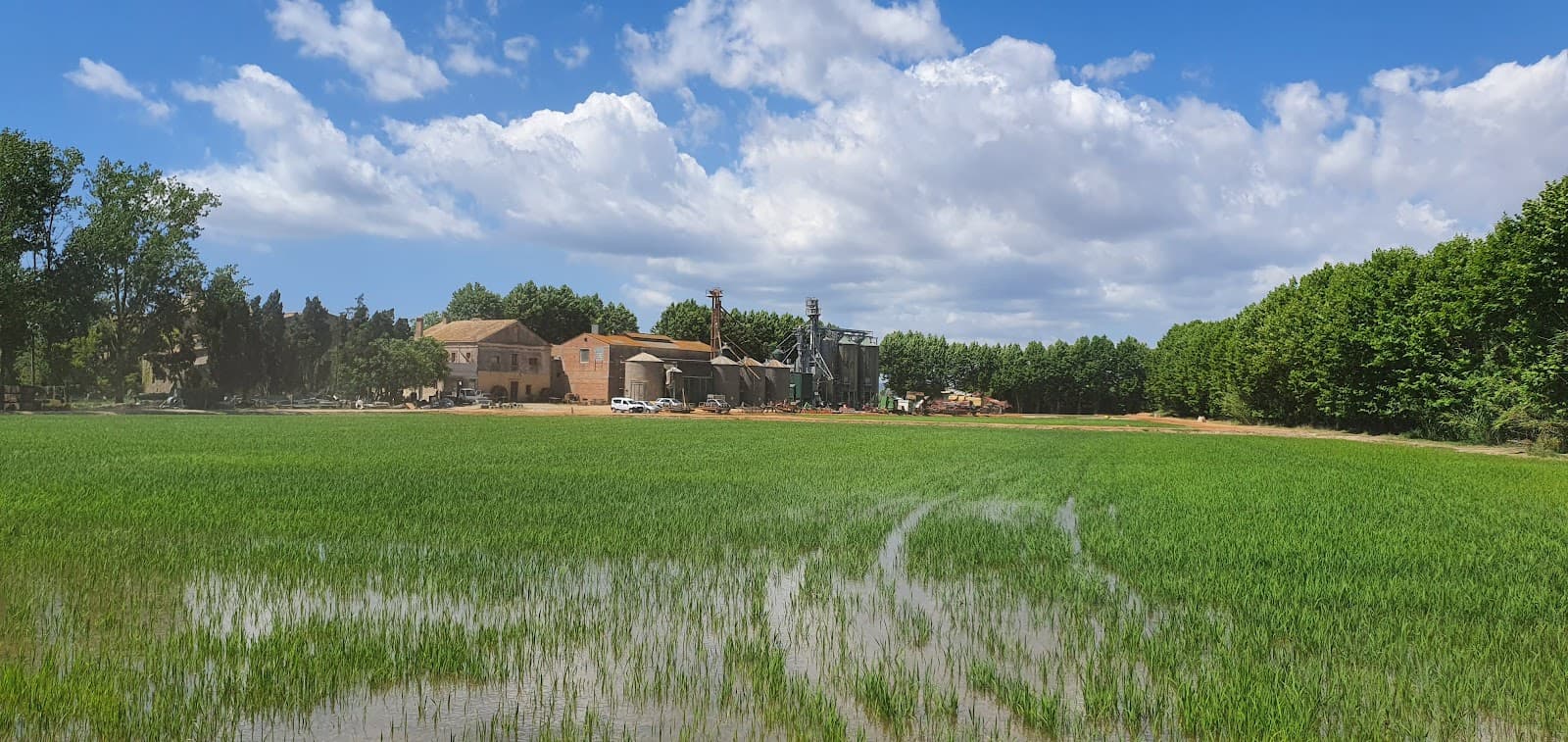 Molí de Pals (Rice Mill) - Image 1