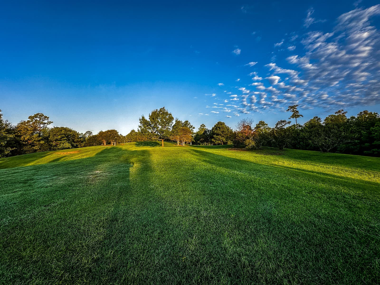 Terramont Park - Image 1