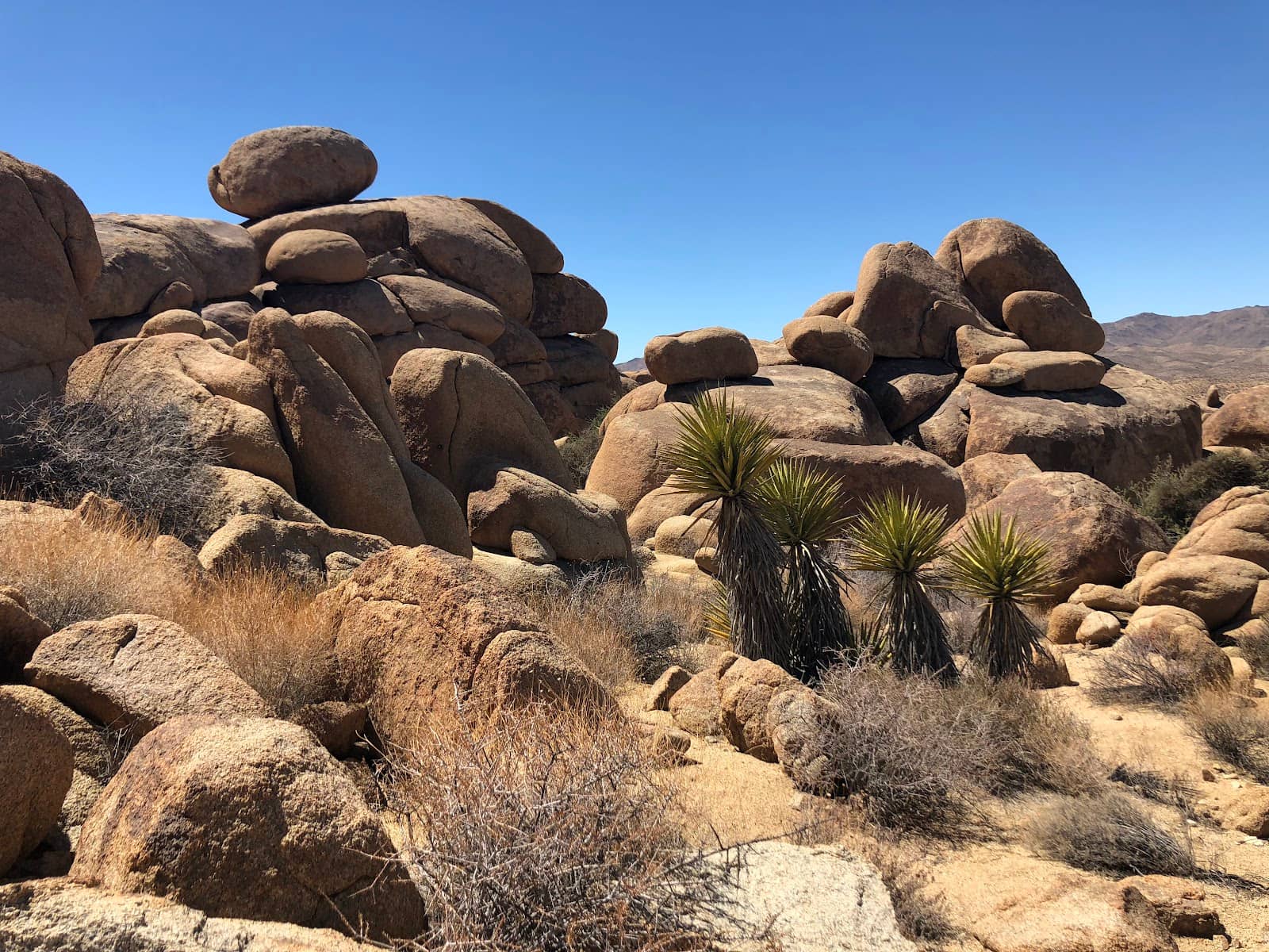 Optional Rock Scramble