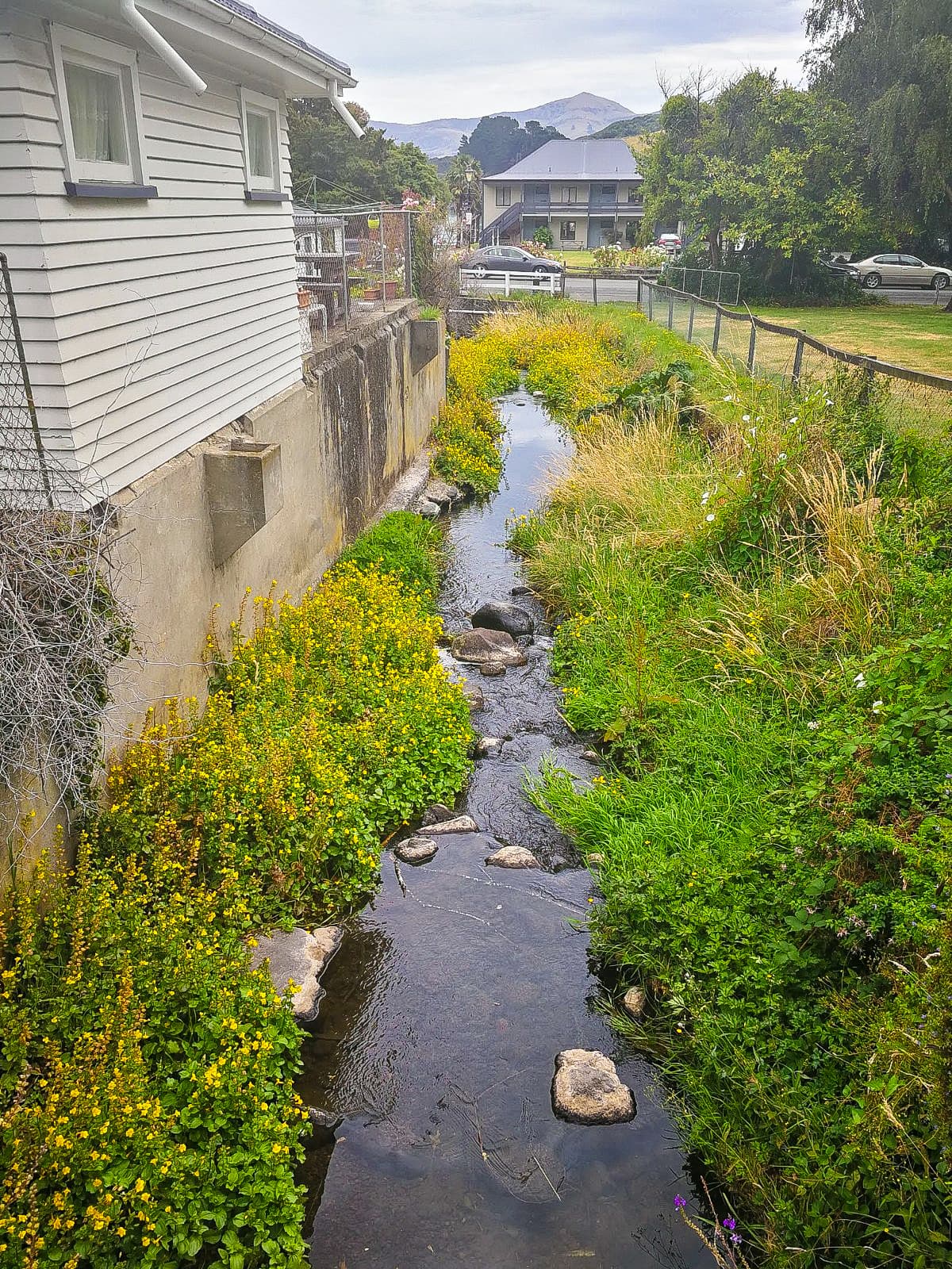 Akaroa Harbour - Image 1