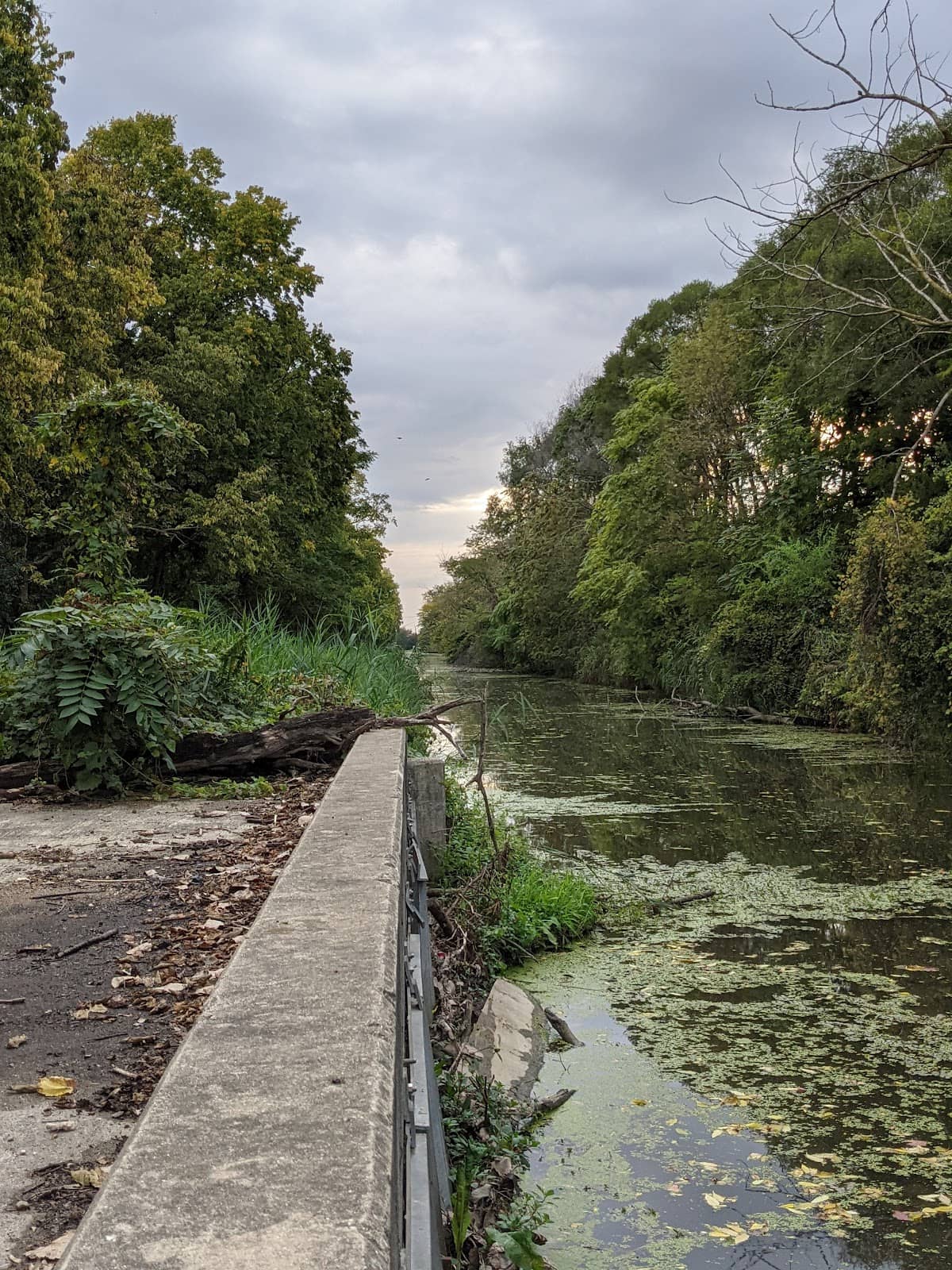 McKinley Woods