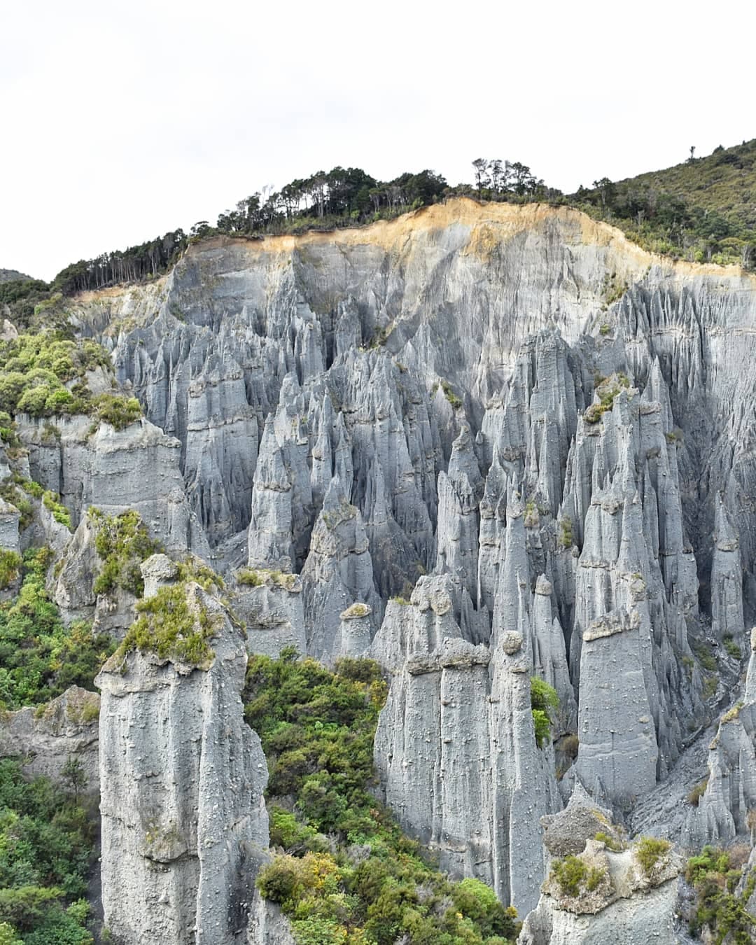 Putangirua Pinnacles - Image 1