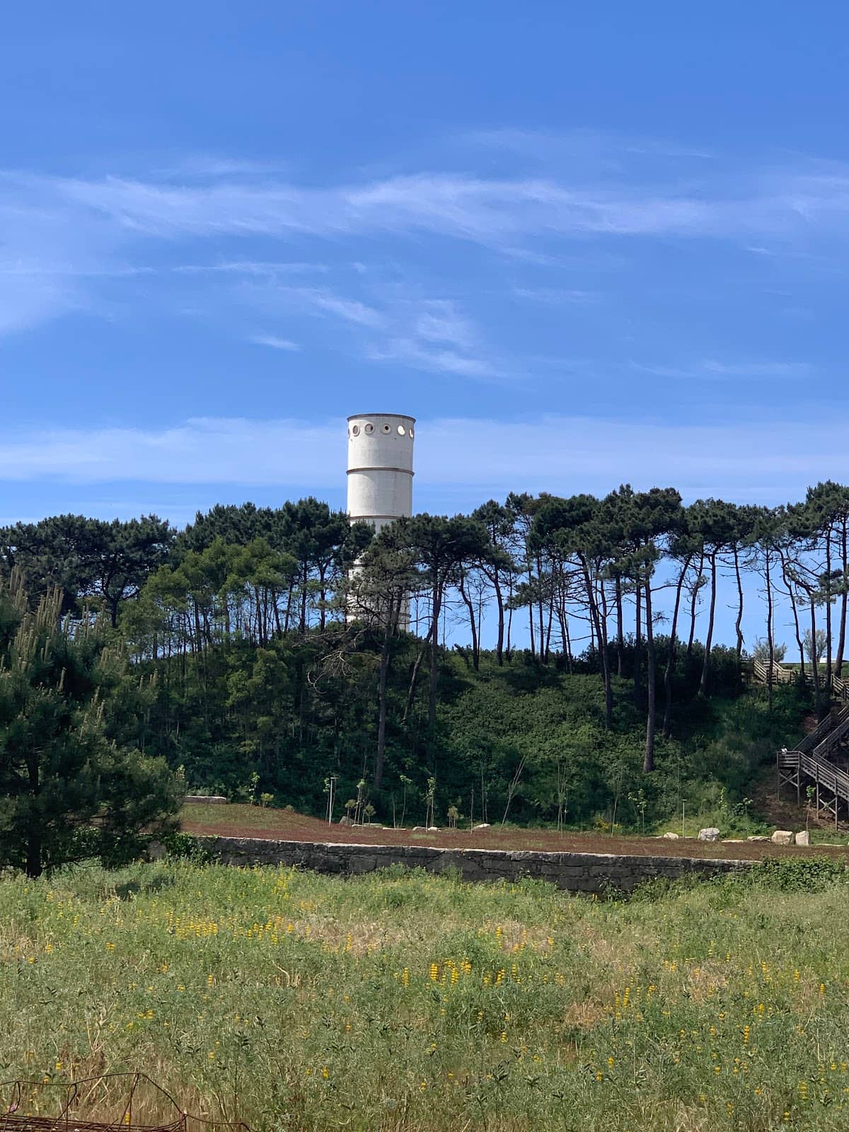 Jogging and Bicycle Tracks