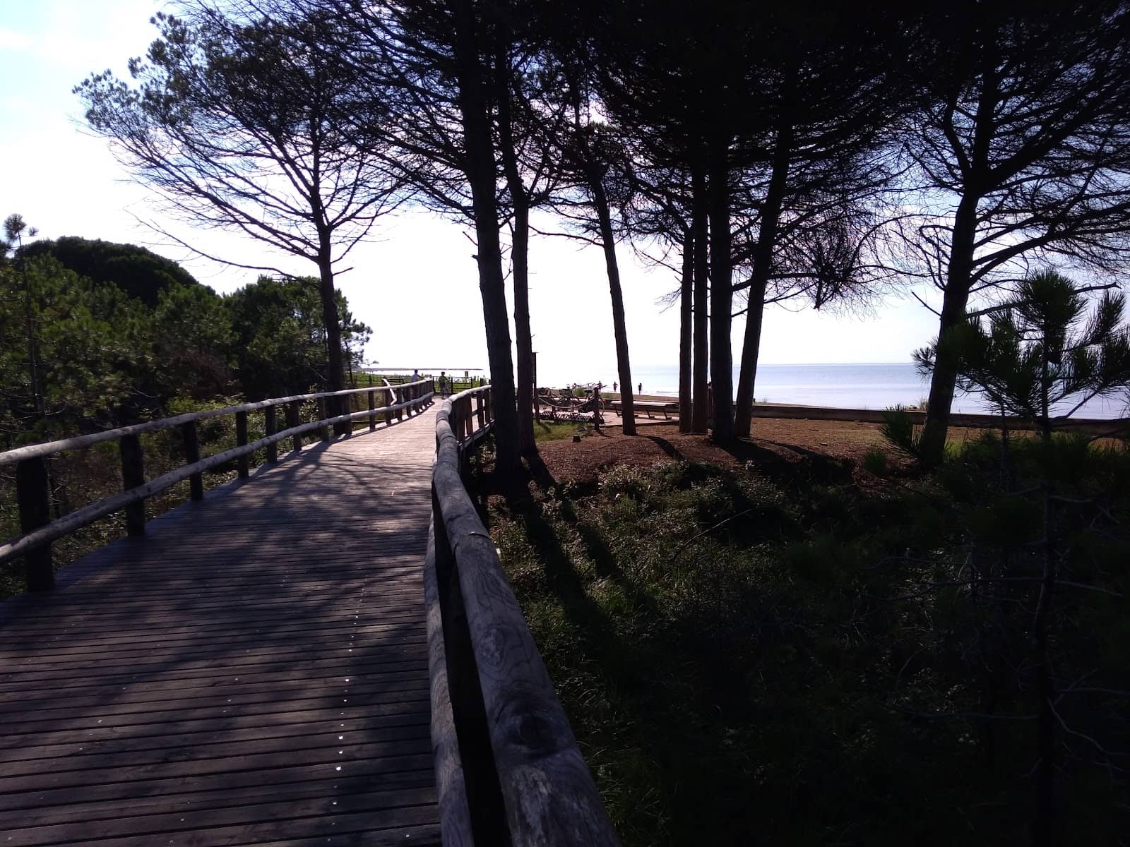 Seaside Promenade