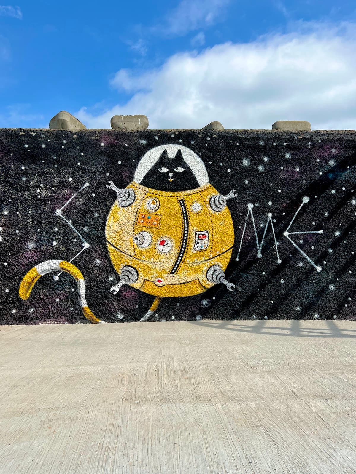 Constanța Street Art Murals FACA - Image 1