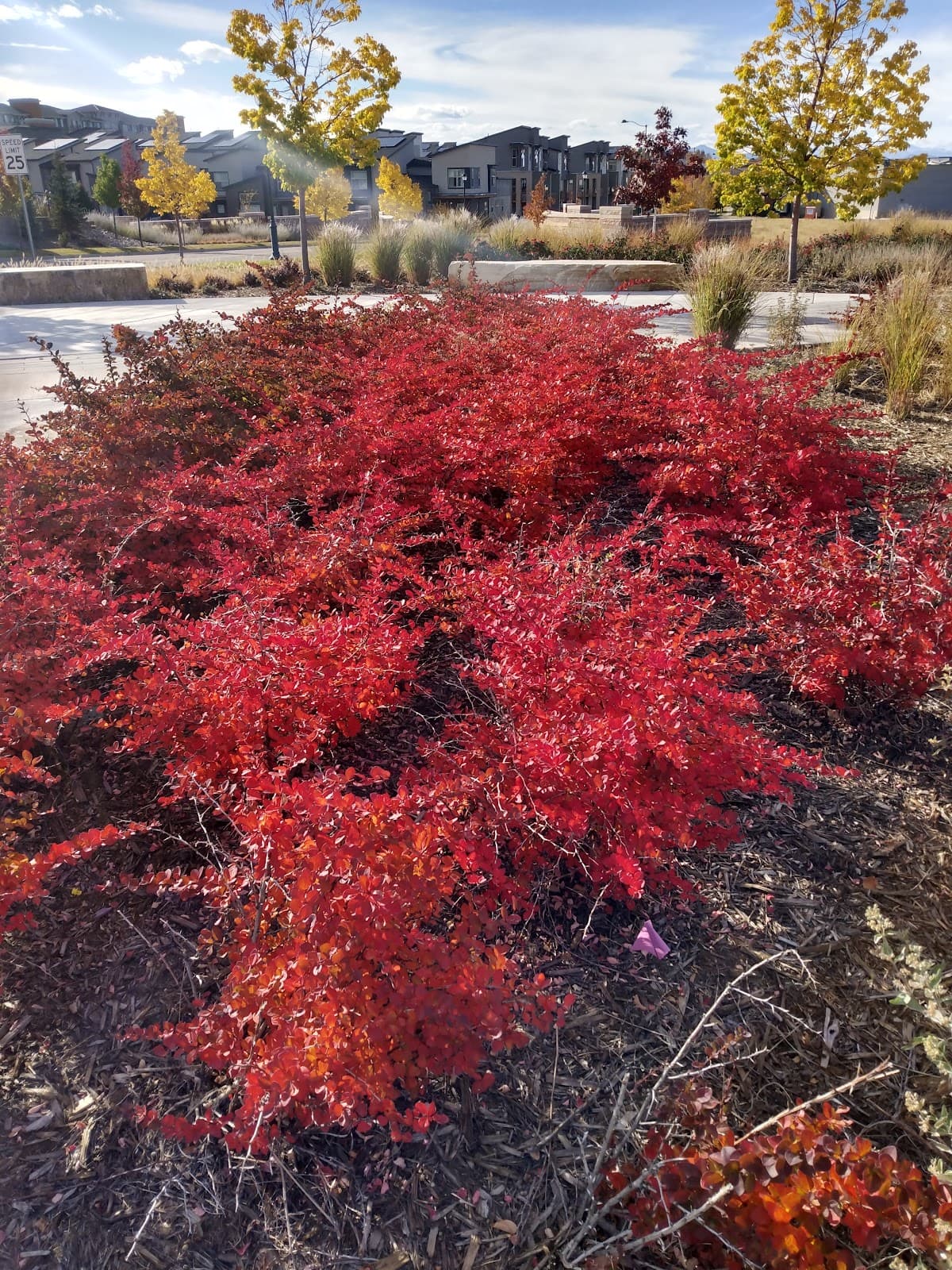 RidgeGate Public Art Trail - Image 1