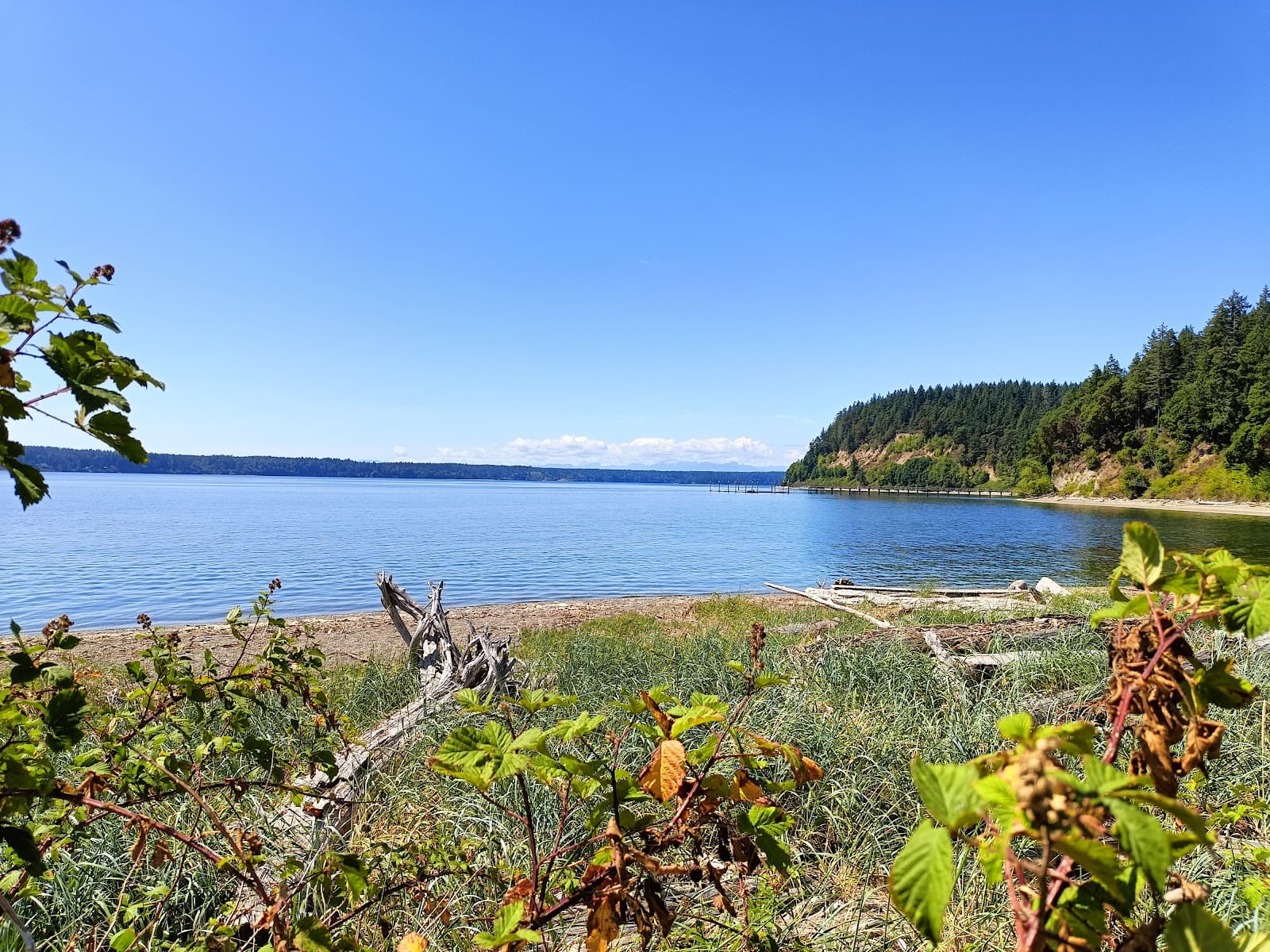 Joemma Beach State Park - Image 1