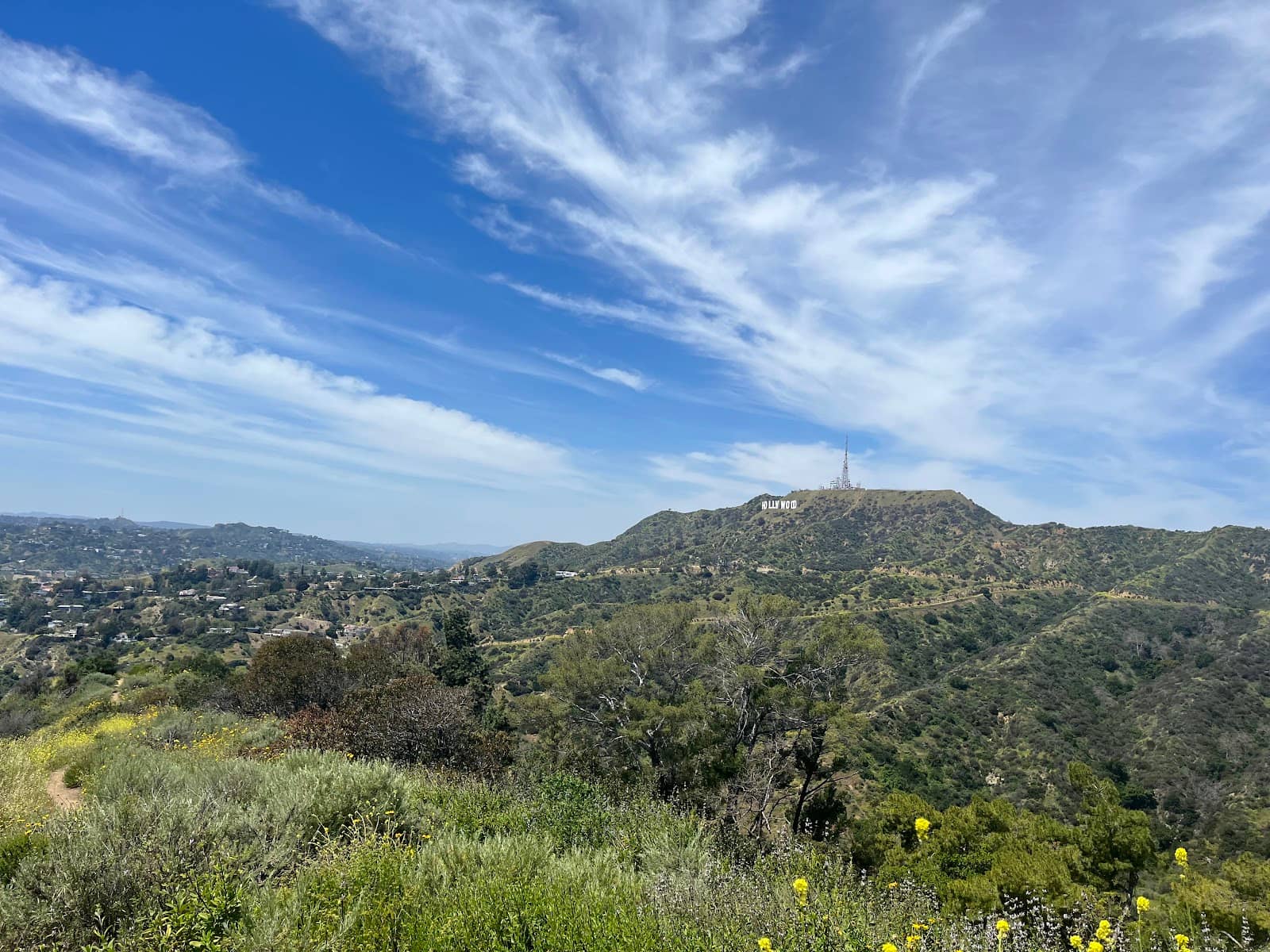 Griffith Observatory Backdrop