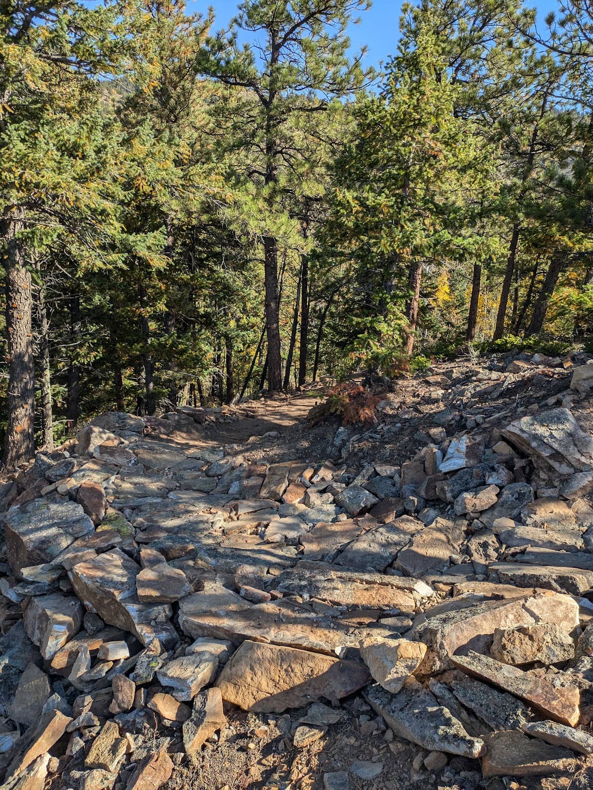 Steep Climbs & Technical Descents