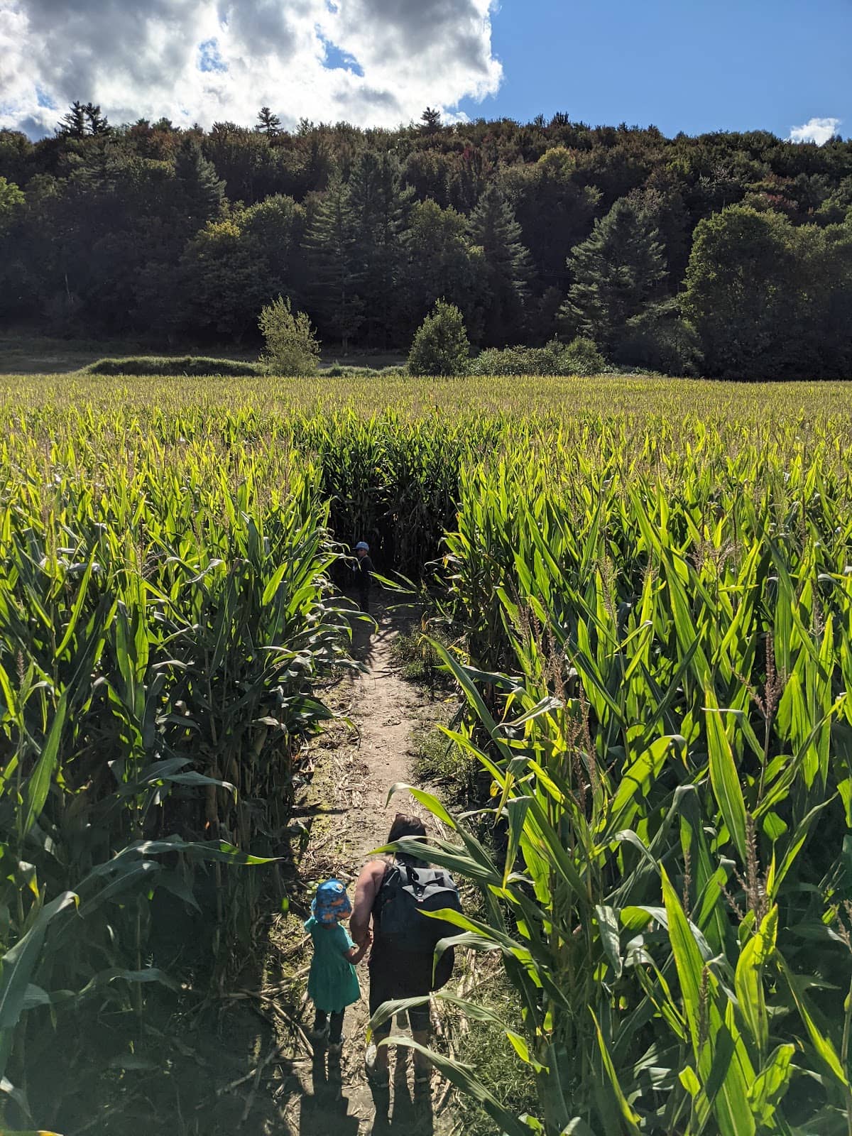 Scenic Vermont Views