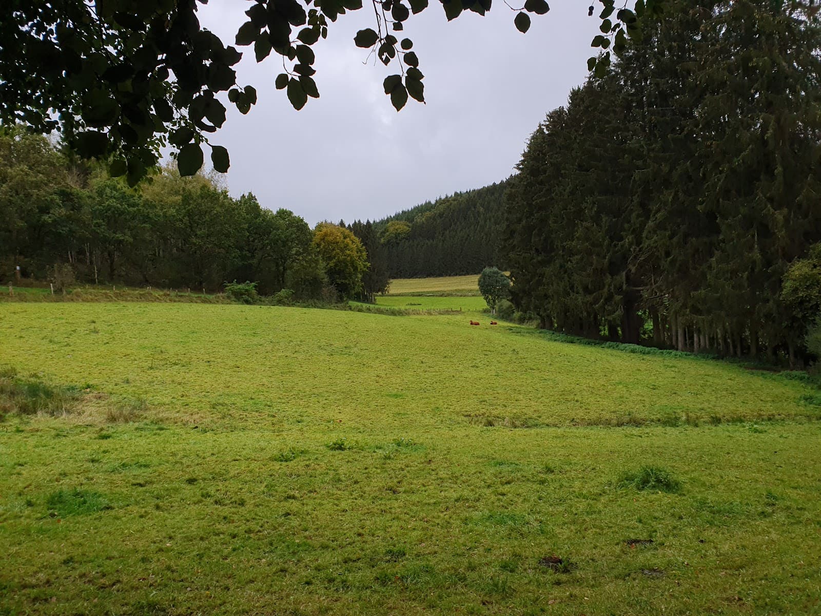 Escapardenne Eislek Trail - Image 1