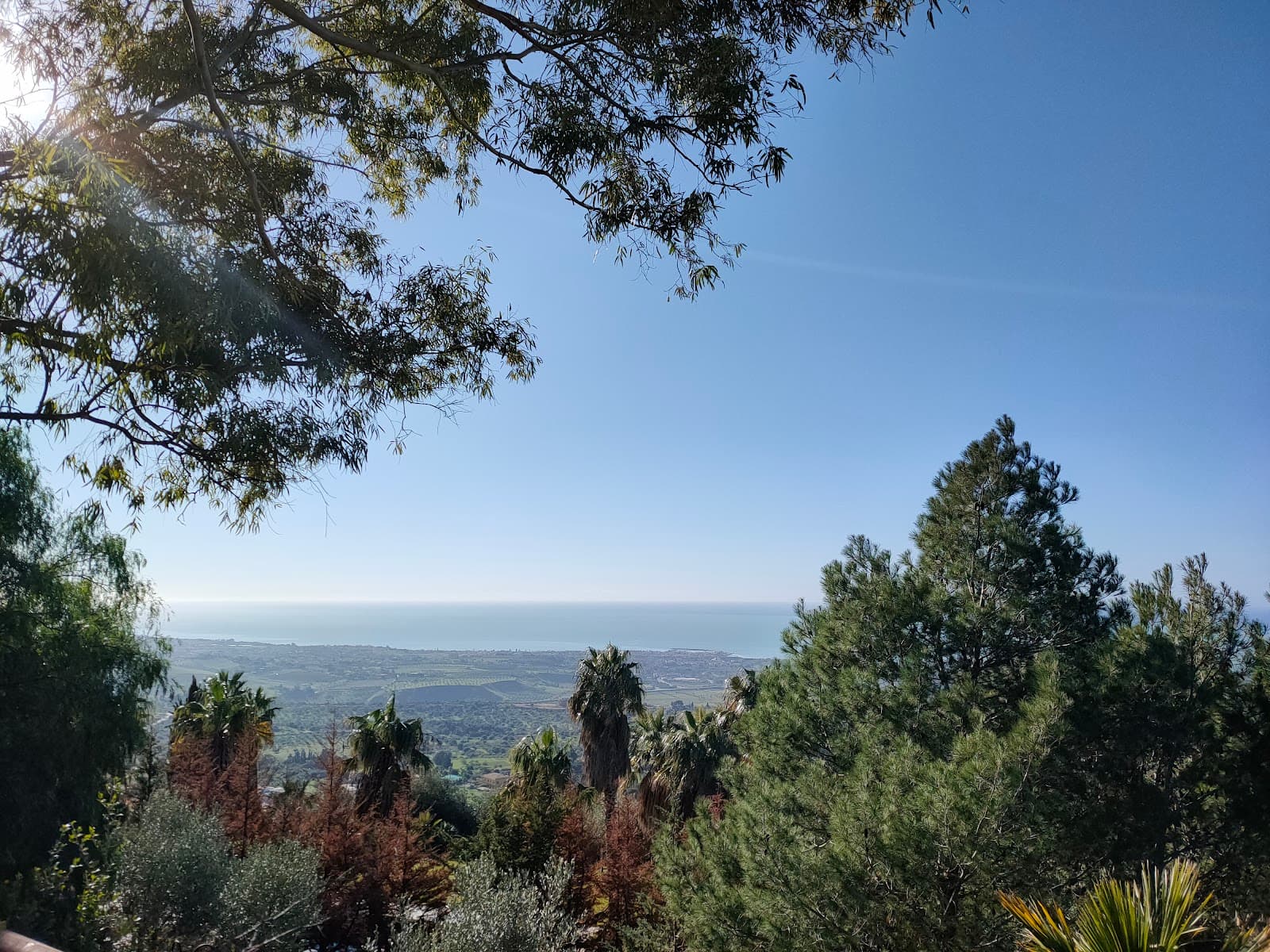 Rupe Atenea - Image 1
