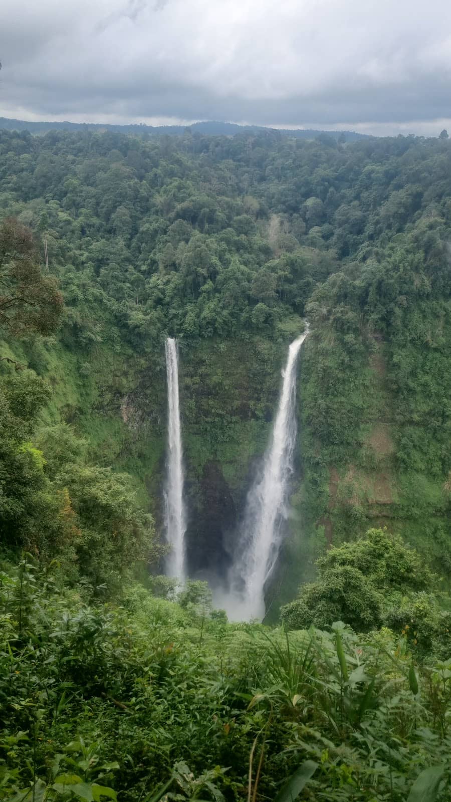 Vertical photo
