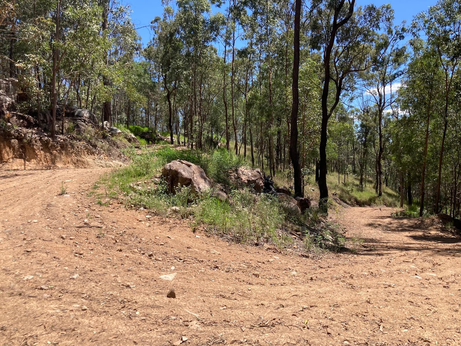 Mount Coot-tha Reserve Brisbane - Image 1