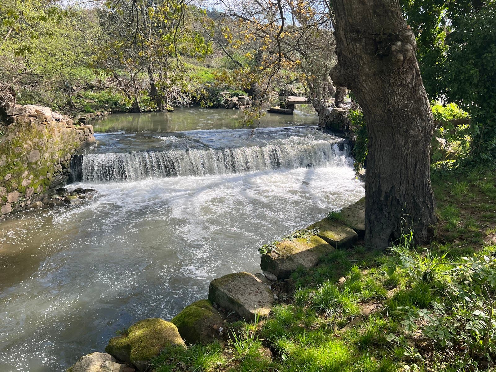 Leça River Walk (Águas Santas) - Image 1