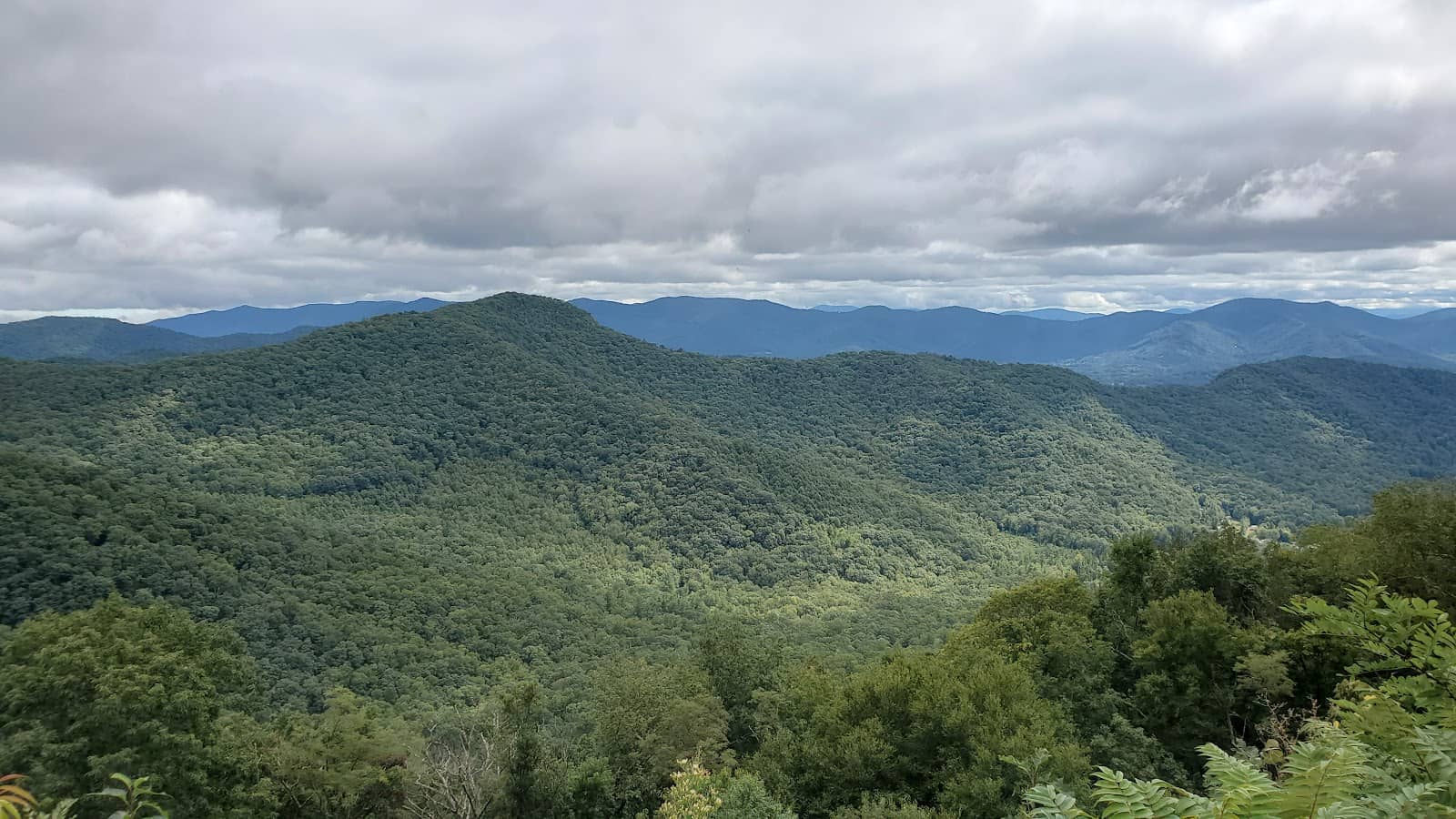 Craggy Gardens Trail