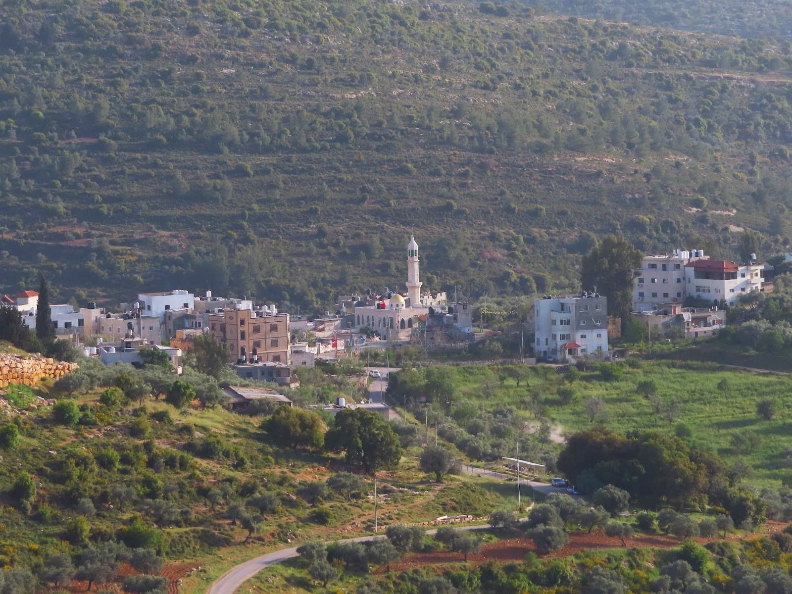 Ein Qiniya Village & Valley - Image 1