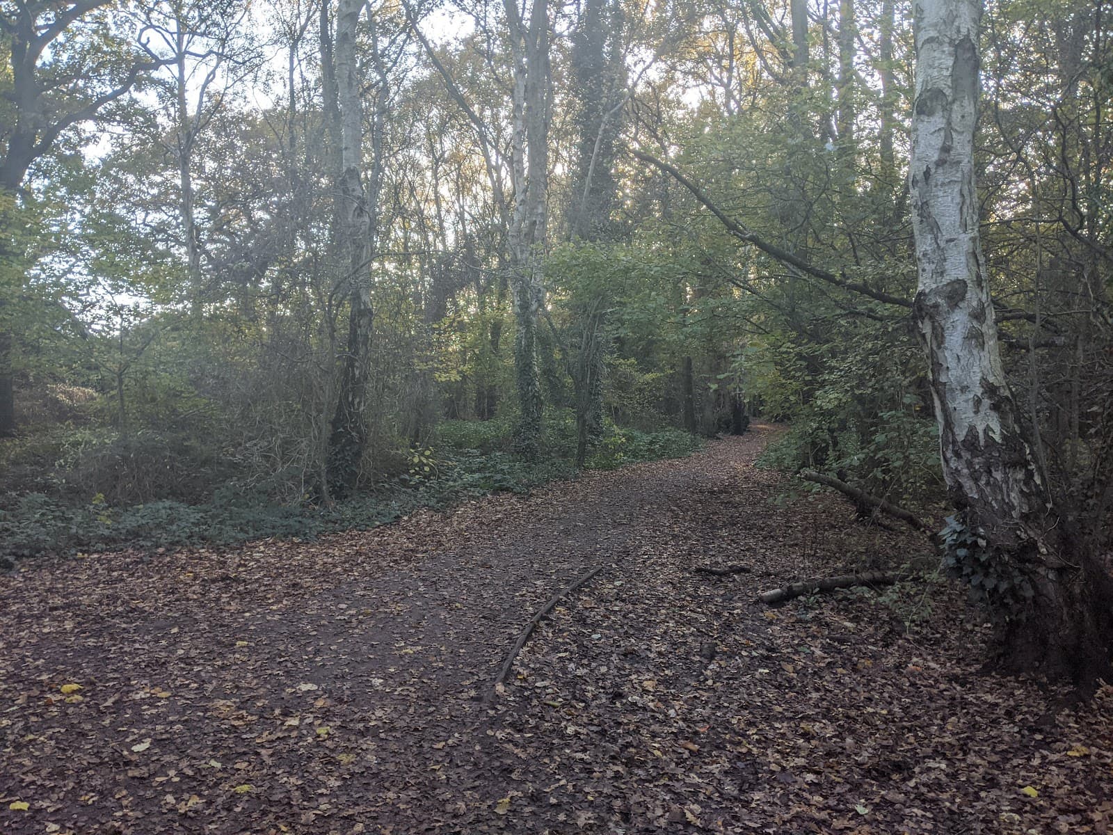 Stanney Woods - Image 1