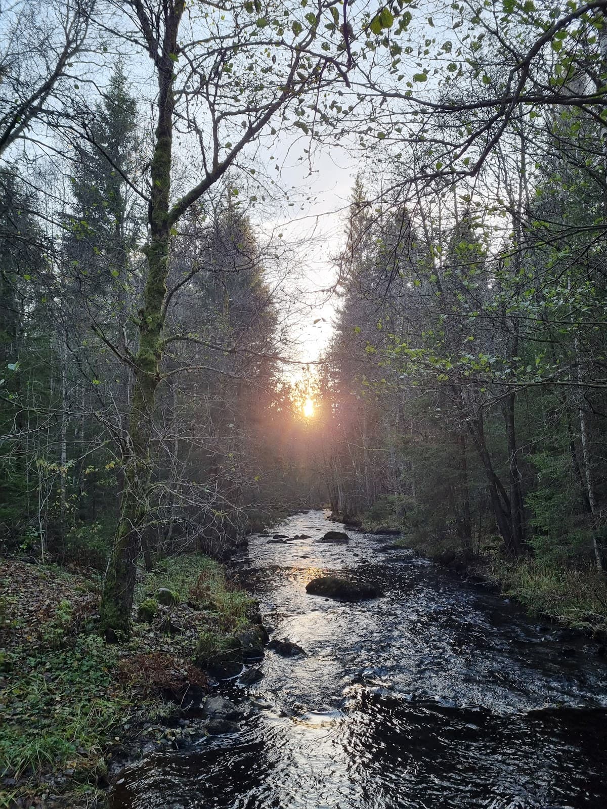 Kransmossen Nature Area - Image 1