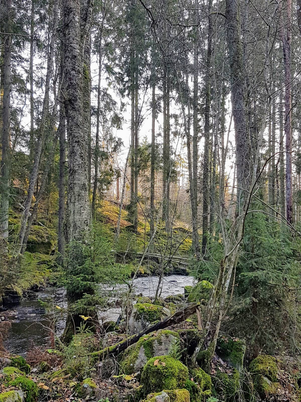 Vertical photo