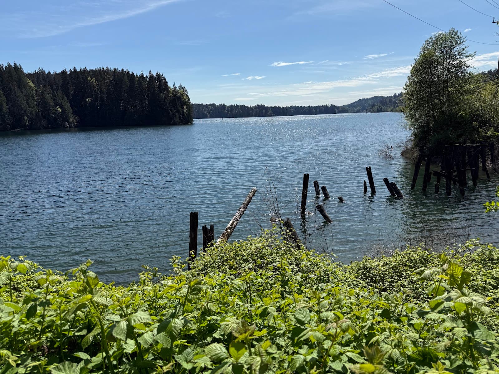 Hayward Lake Railway Trail - Image 1
