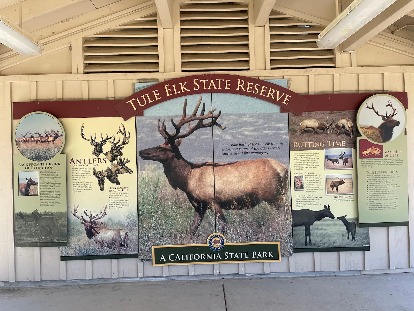 Tule Elk State Natural Reserve - Image 1