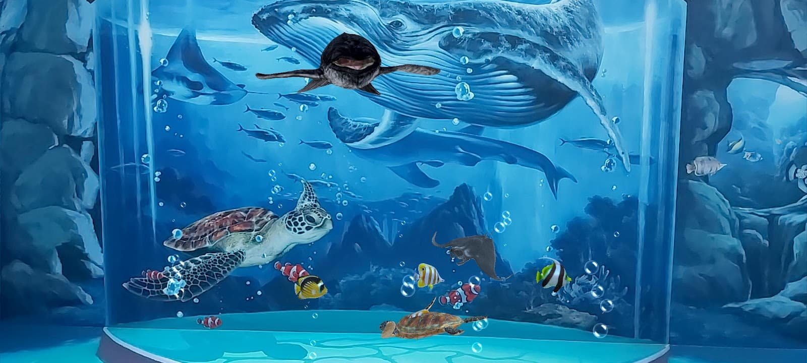 Phuket Trickeye Museum - Image 1