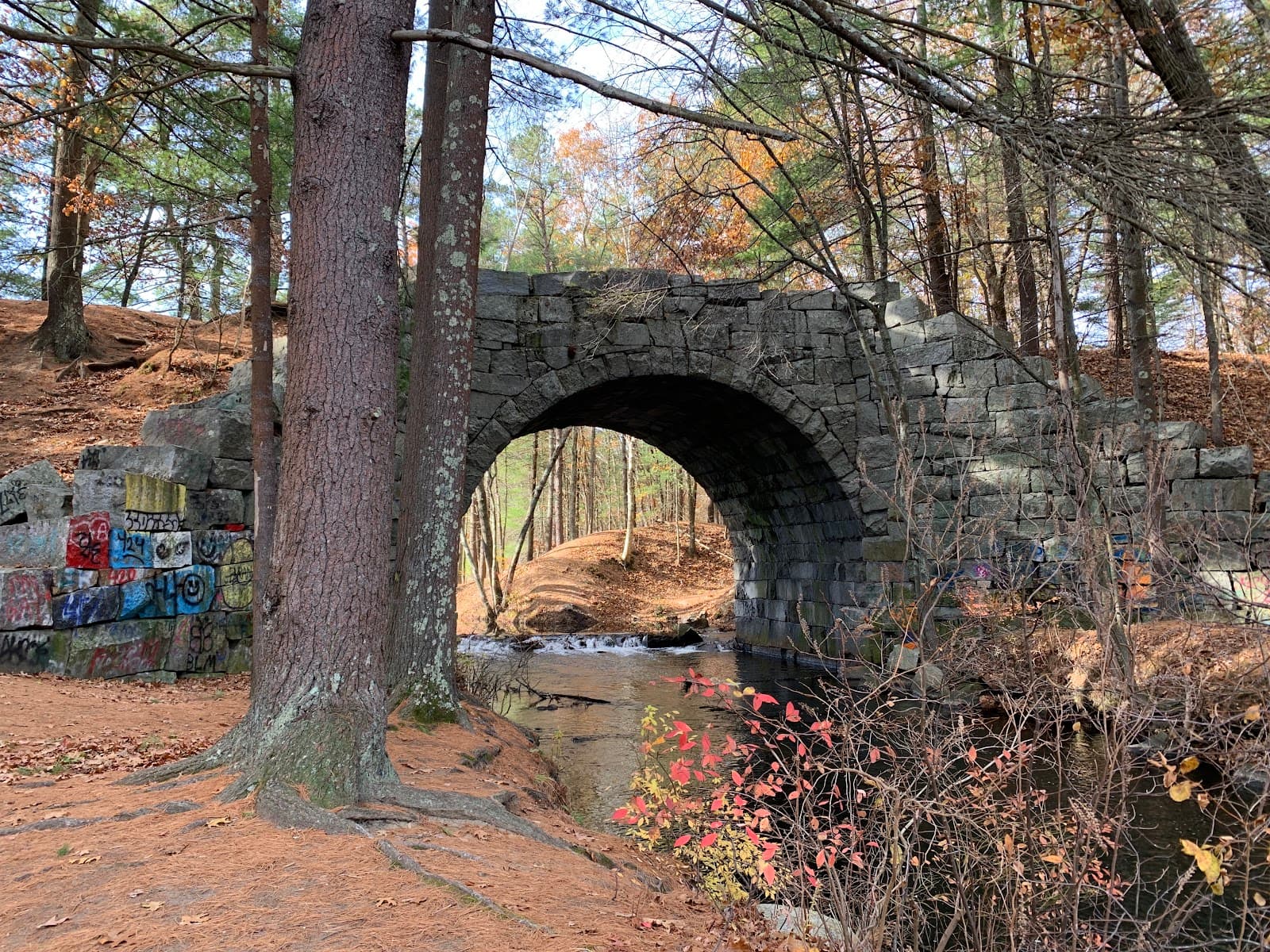 Tom Paul Trail - Image 1