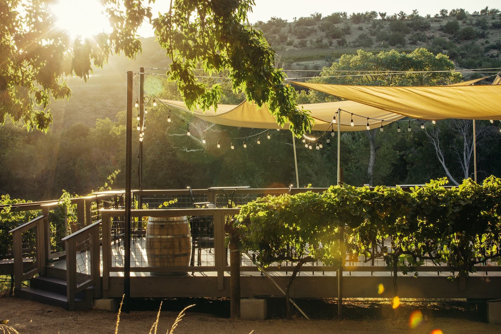 Page Springs wine country - Image 1