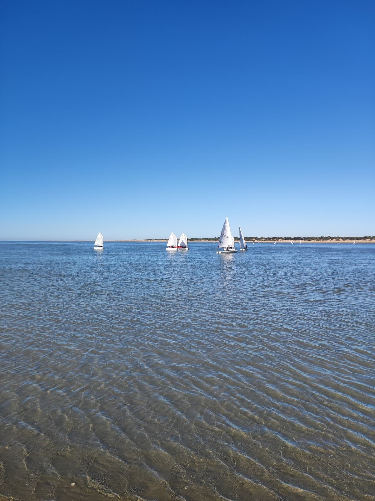 Real Fernando Doñana Boat - Image 1