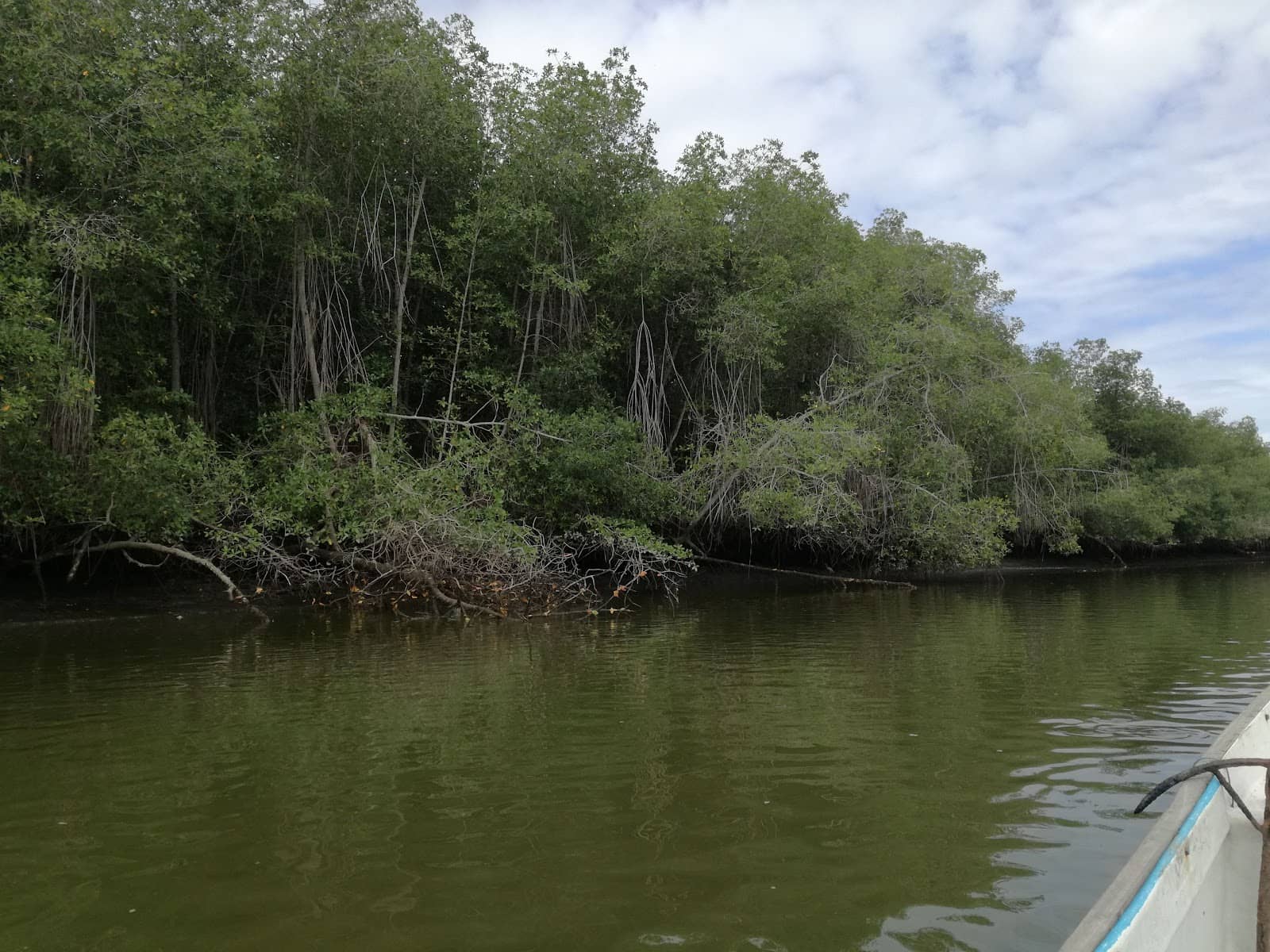 Local Guideboat Tours