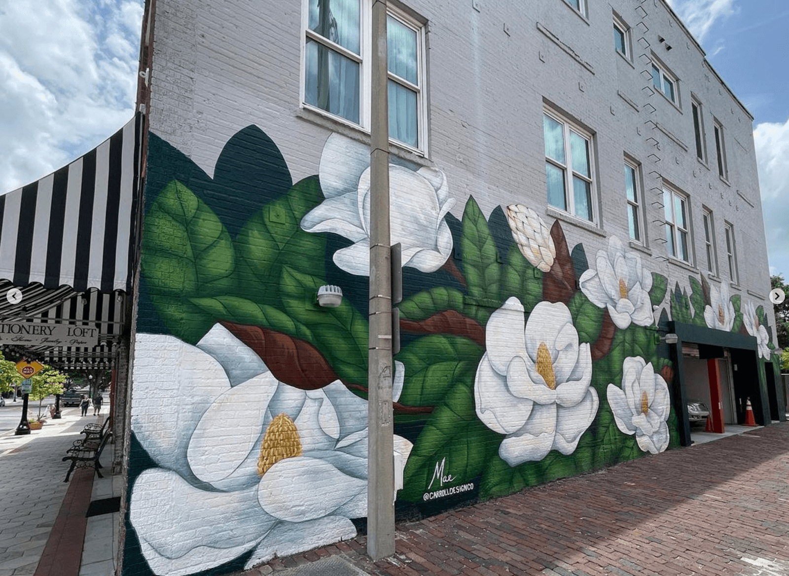 Lakeland Murals Downtown and Dixieland - Image 1