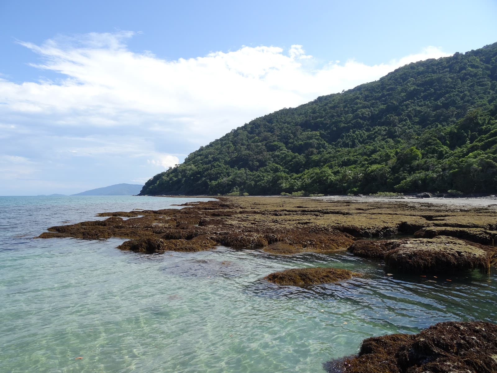 Cape Tribulation - Image 1
