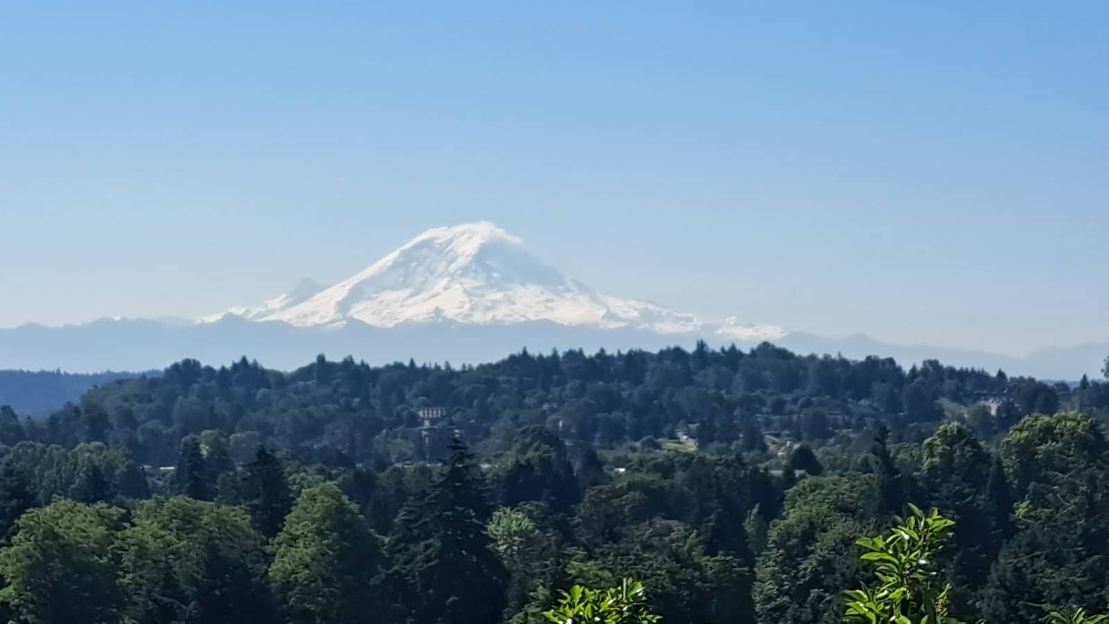 Duwamish Tribal History