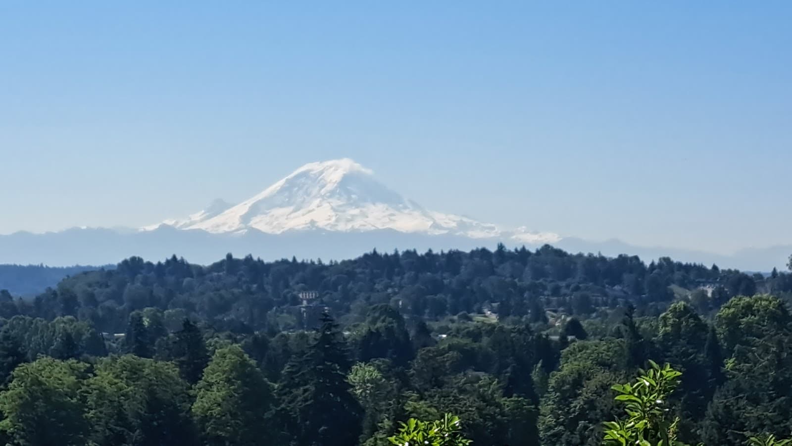 Duwamish Hill Preserve - Image 1