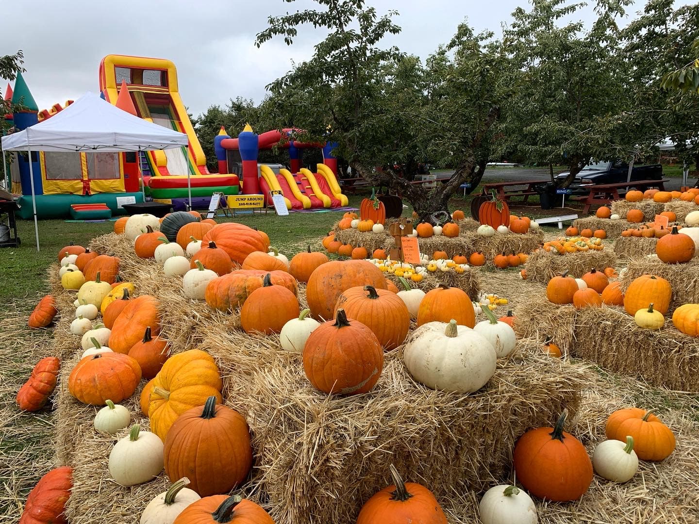 Green Bluff Growers Washington - Image 1