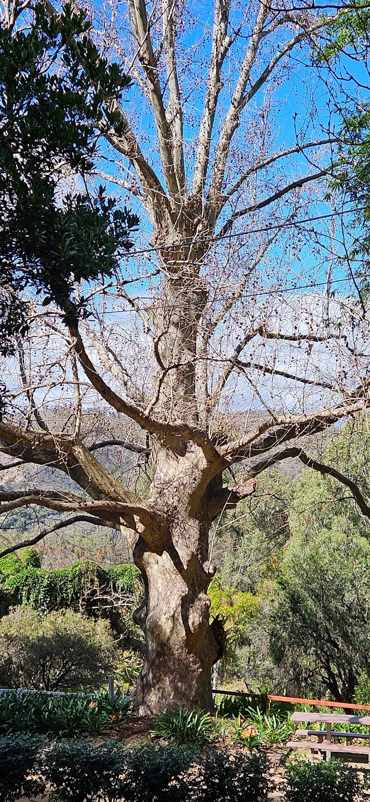 Highfields - Image 1