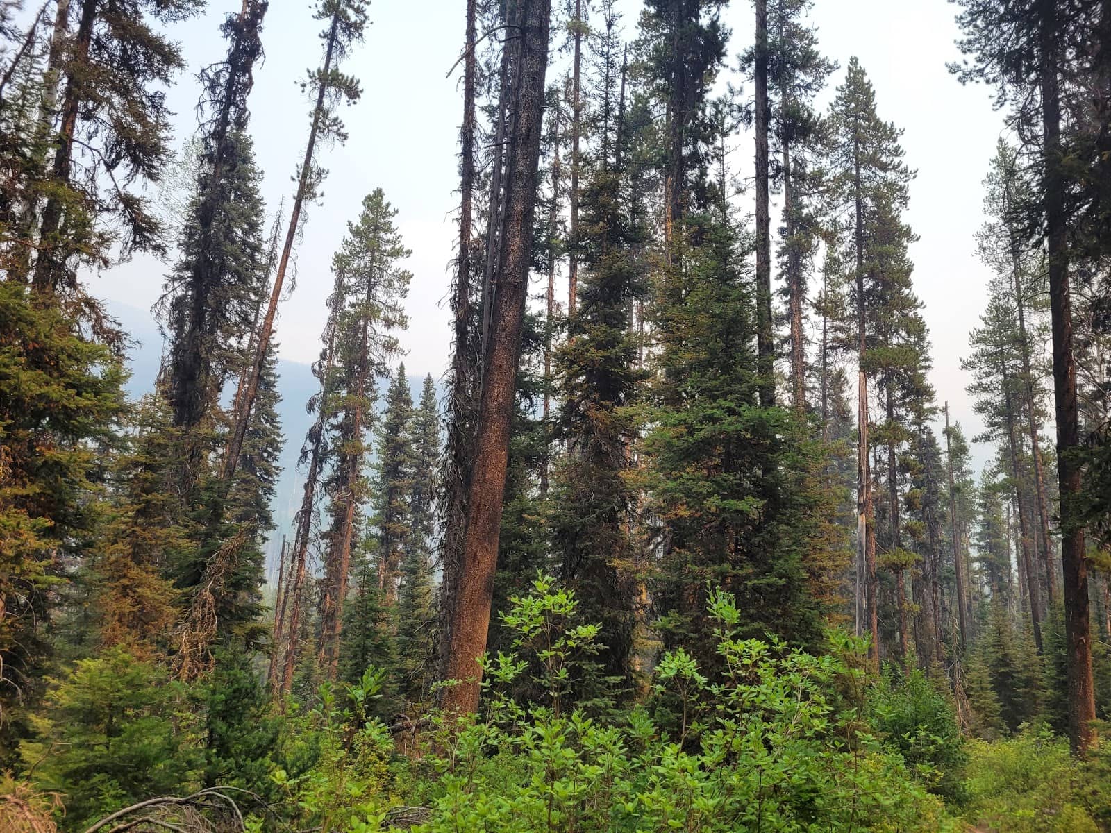 Vertical photo