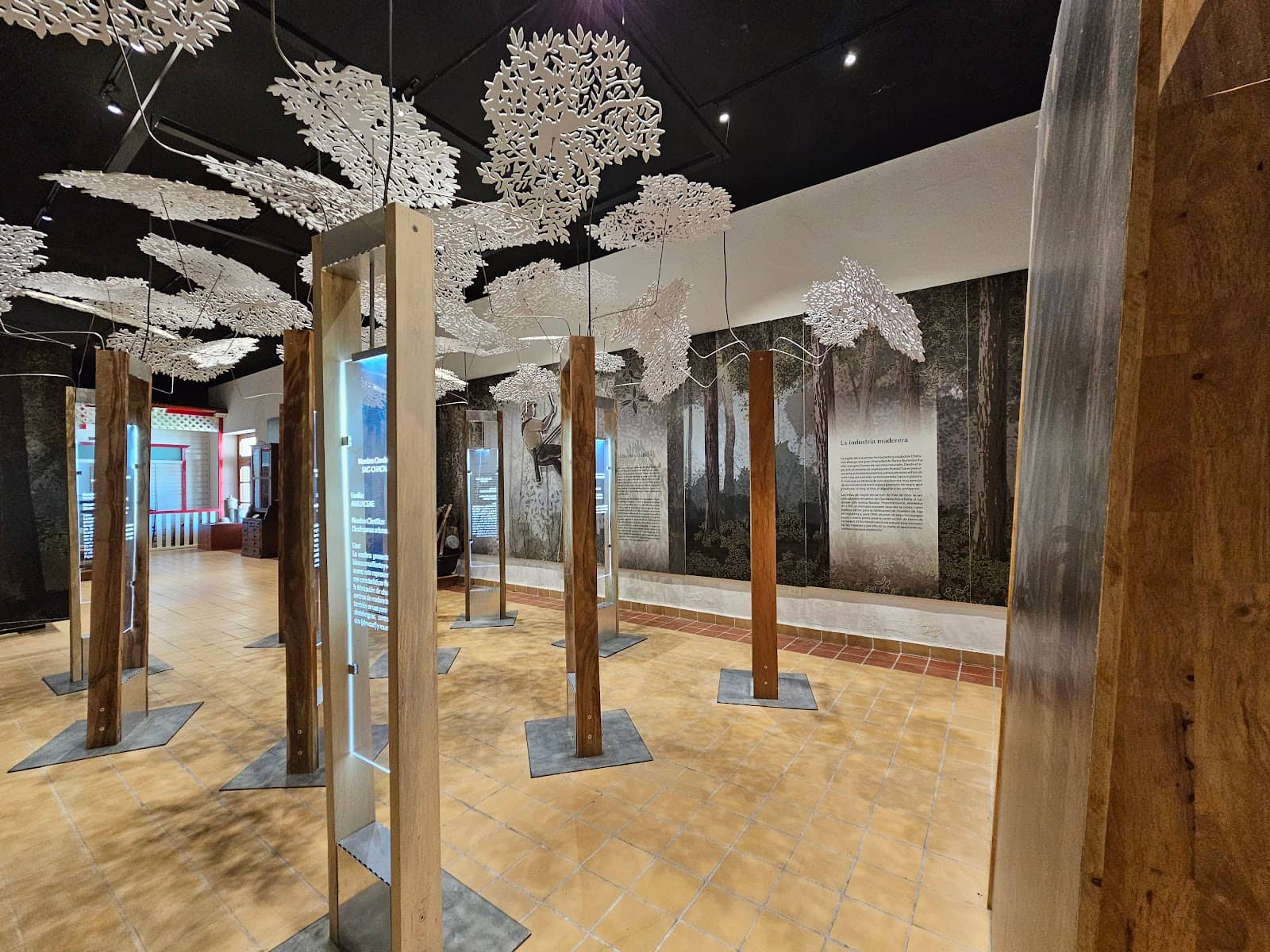 Local Artifacts & Displays