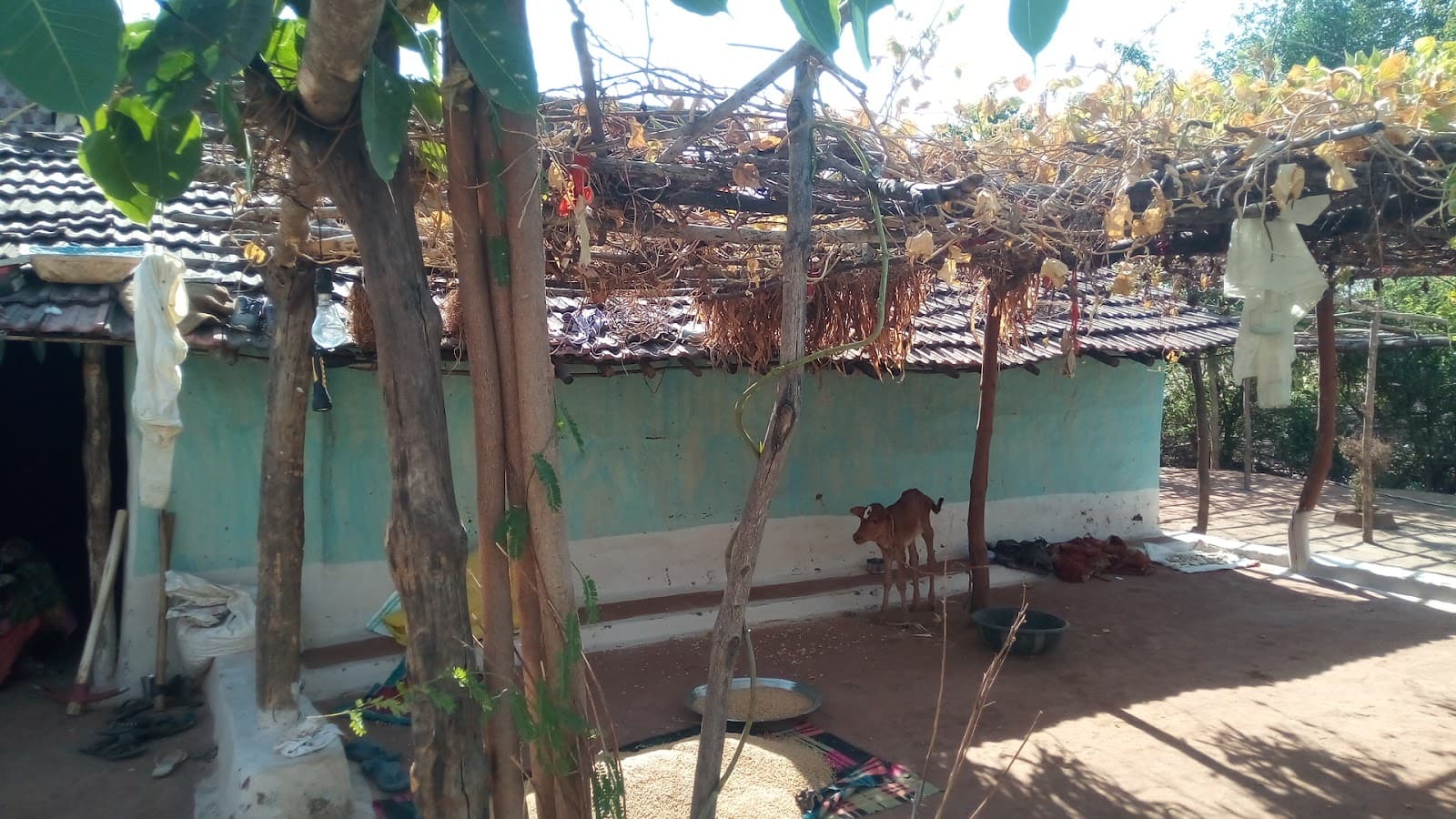 Cloth Market Indore - Image 1