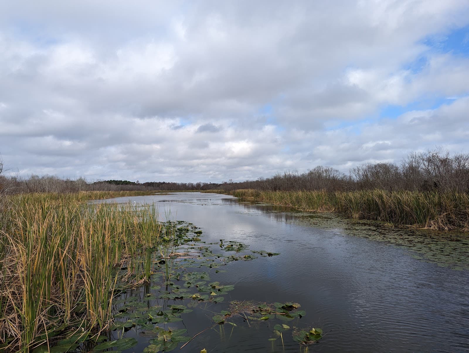 Emeralda Marsh Conservation Area - Image 1