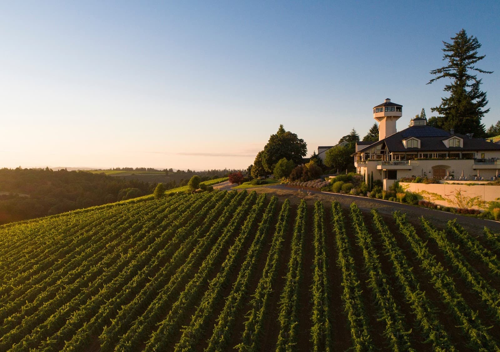 Willamette Valley Vineyards - Image 1