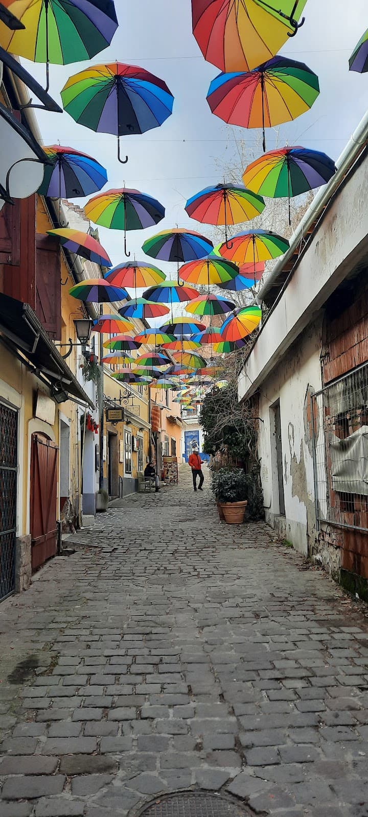 Bogdányi Street - Image 1